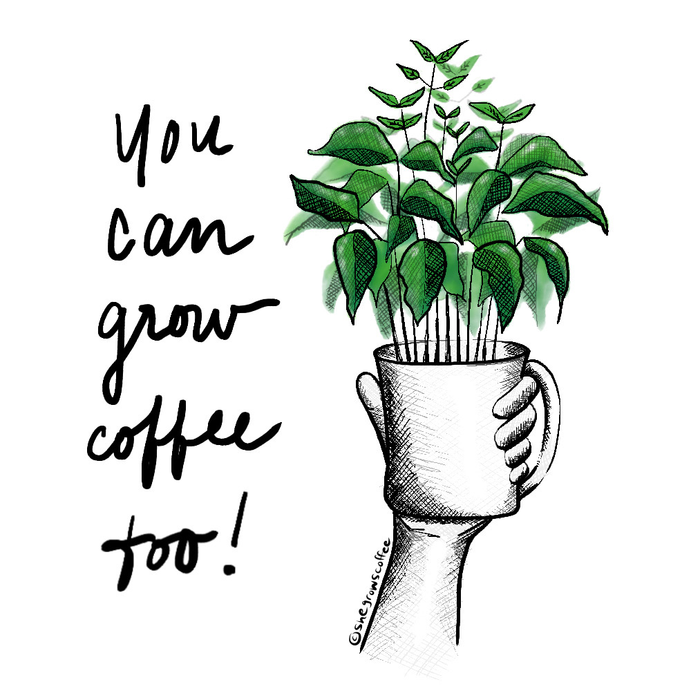 Growing Coffee She Grows Coffee