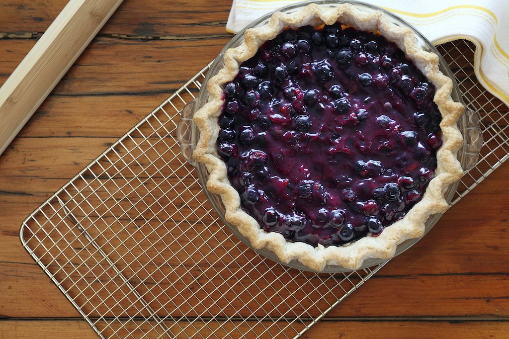 Haskap Berries Honeyberry What is a Haskap?