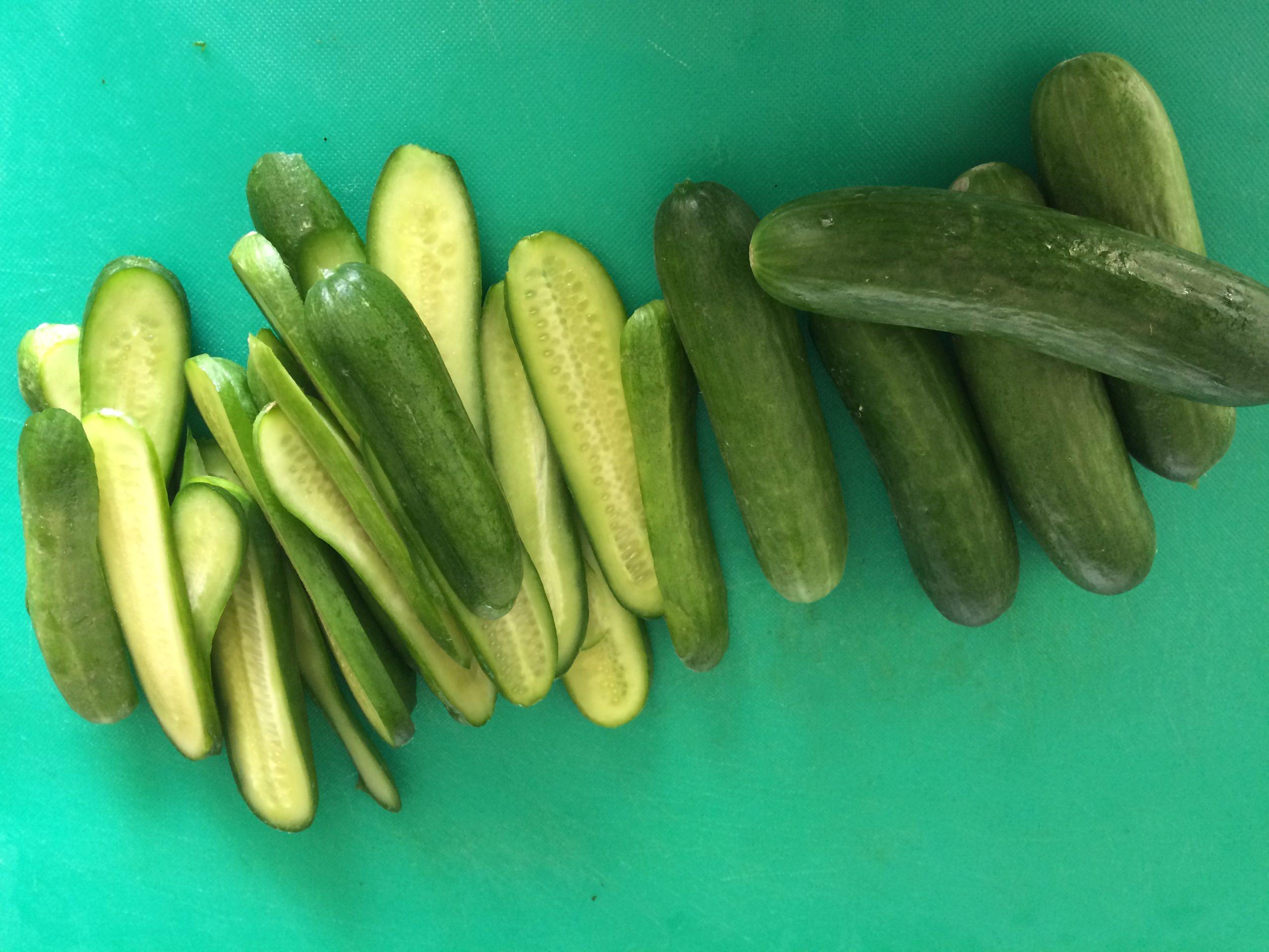 Pickled baby cucumbers Sheila's Pantry