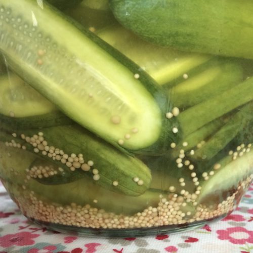 Pickled baby cucumbers Sheila's Pantry