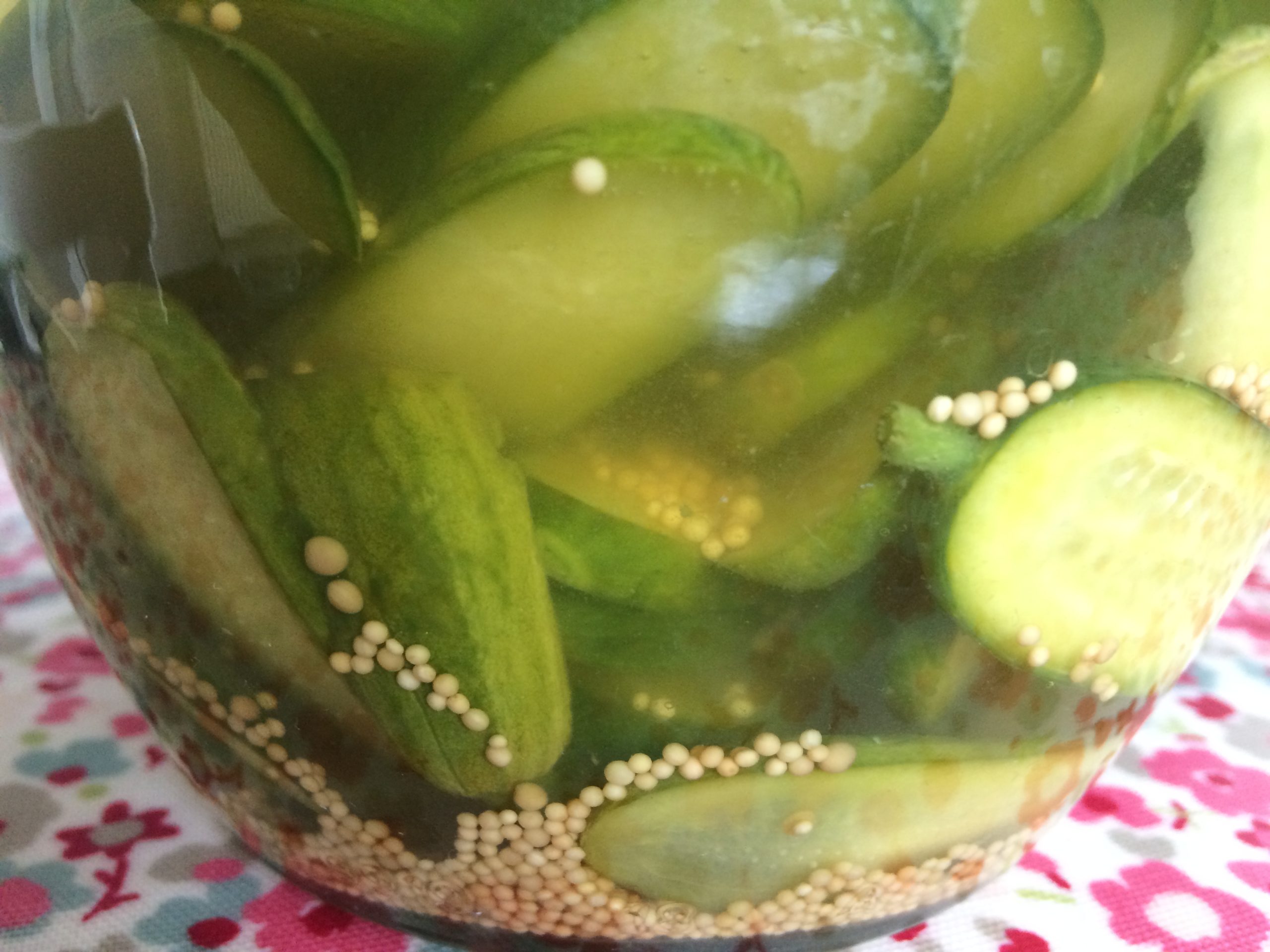 Pickled baby cucumbers Sheila's Pantry