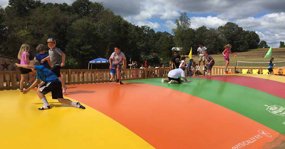 Attractions Shelby Corn Maze