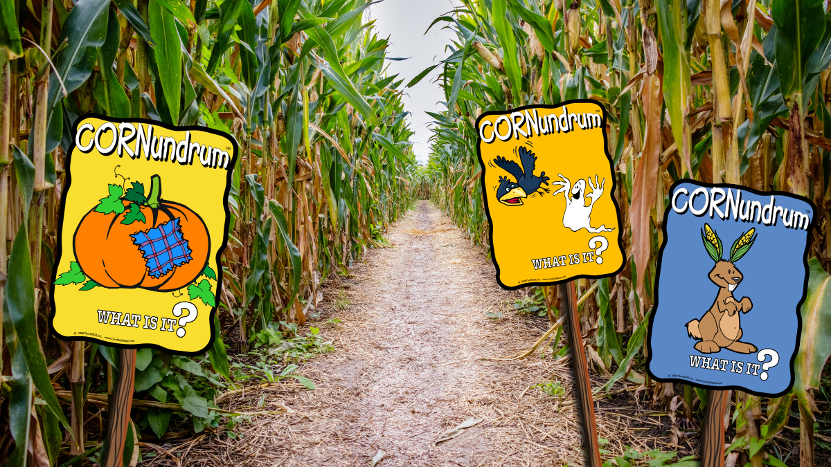Blog Archives Shelby Corn Maze