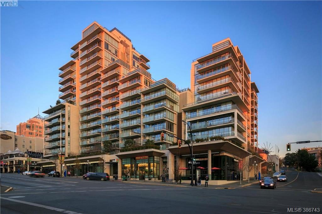 Shelby Donald, Victoria Realtor