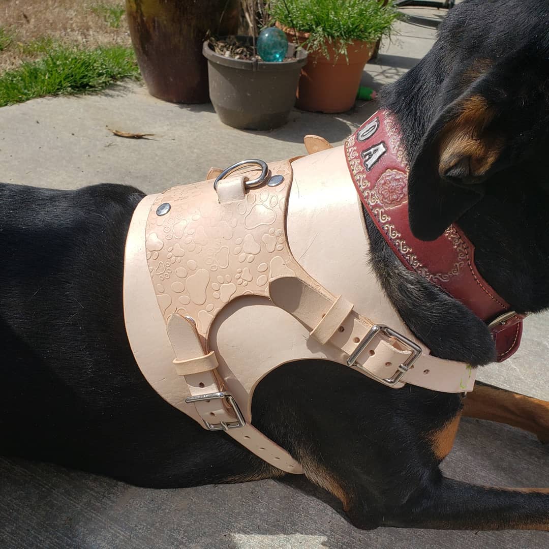 Jada dog harness side Shellback Leather