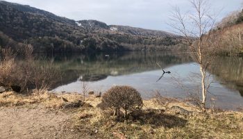 渡良瀬遊水地 谷中湖 でサイクリングと釣りポイント探ししてきた カズドア