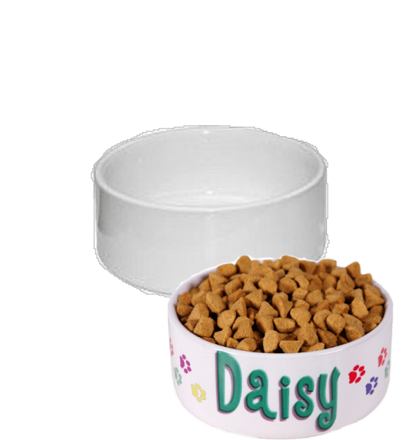 Pet Dish 6" diameter / 2.2" high Shelle Creates 4 U