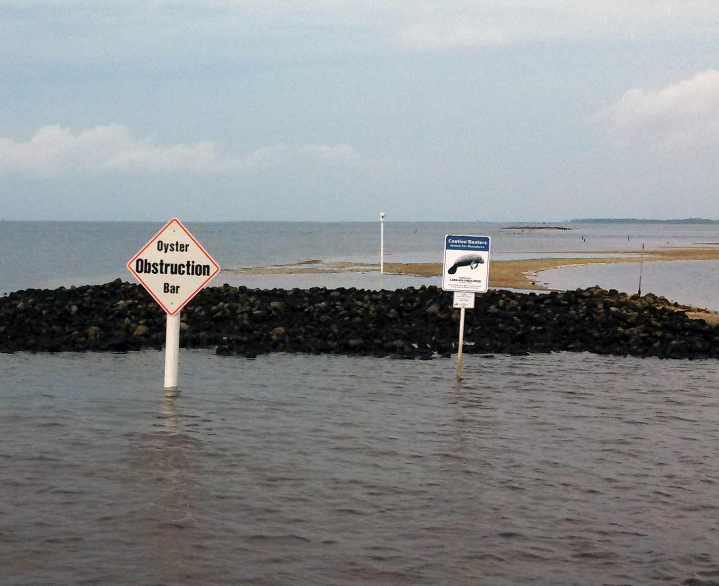 Oyster Restoration Projects Use Clam Culture Byproducts Florida