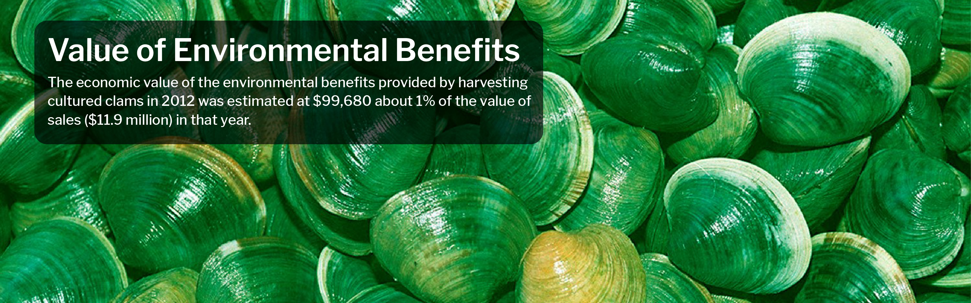 Environmental Benefits Florida Shellfish Aquaculture Online Resource