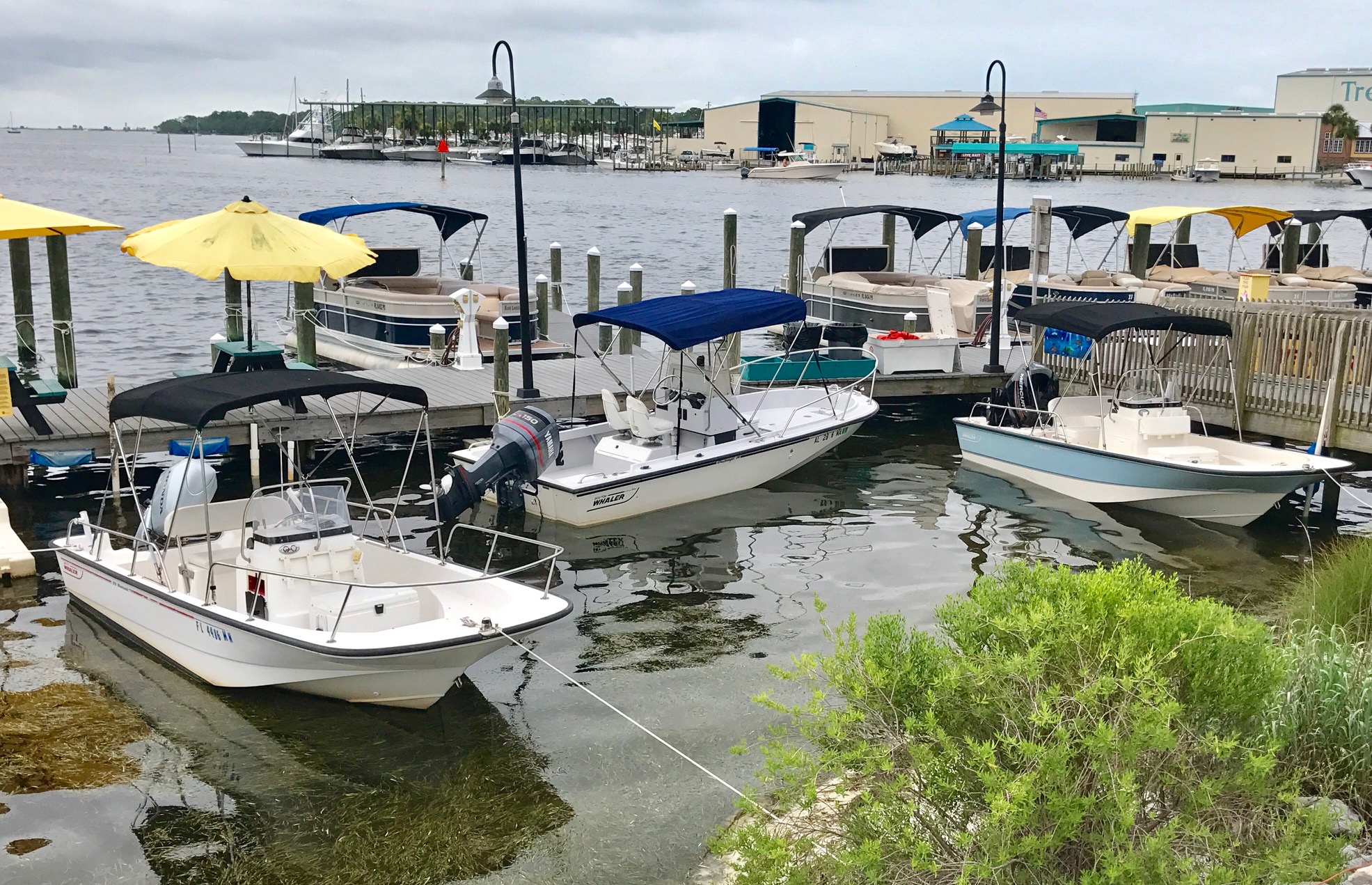 Boston Whaler Rentals Shell Island Tours