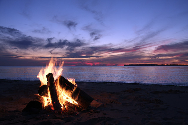 Shell Key Campfires Banned During Summer Nesting Season Friends of