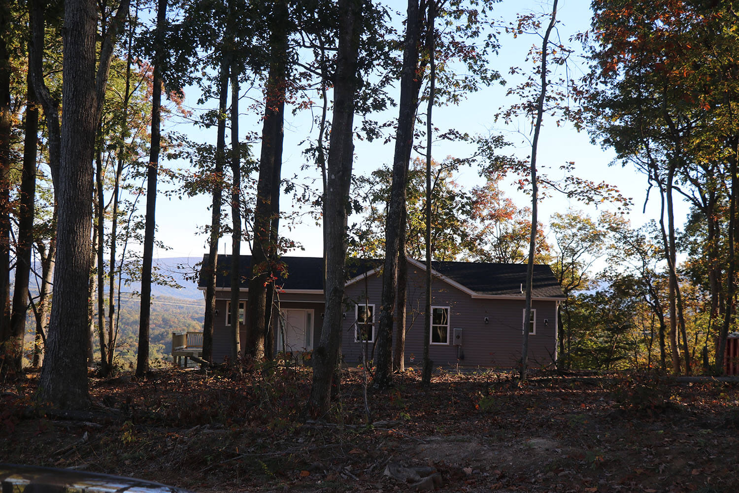 Building/Development Shelly Cook