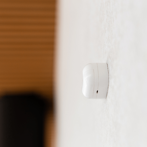 Shelly BLU Motion Shelly SA