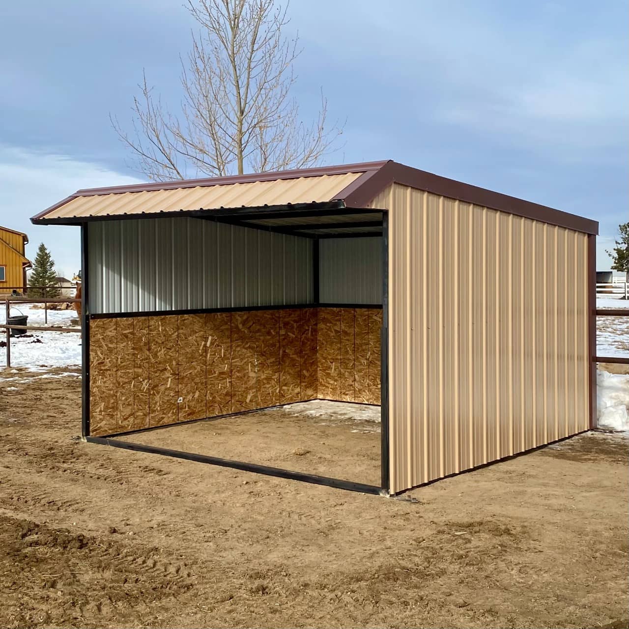 12 x 12 Sheds Shelter Sheds