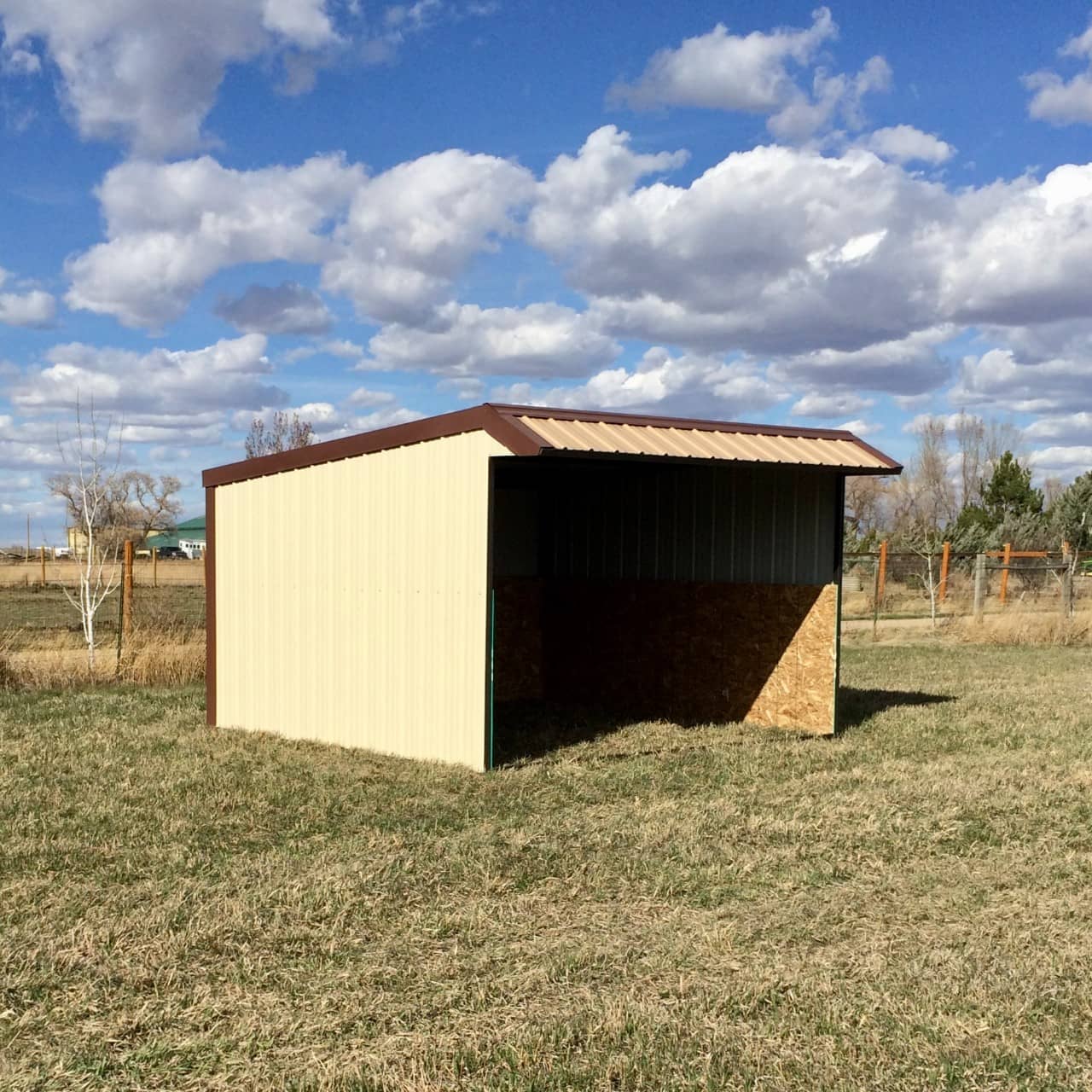 12 x 12 Sheds Shelter Sheds
