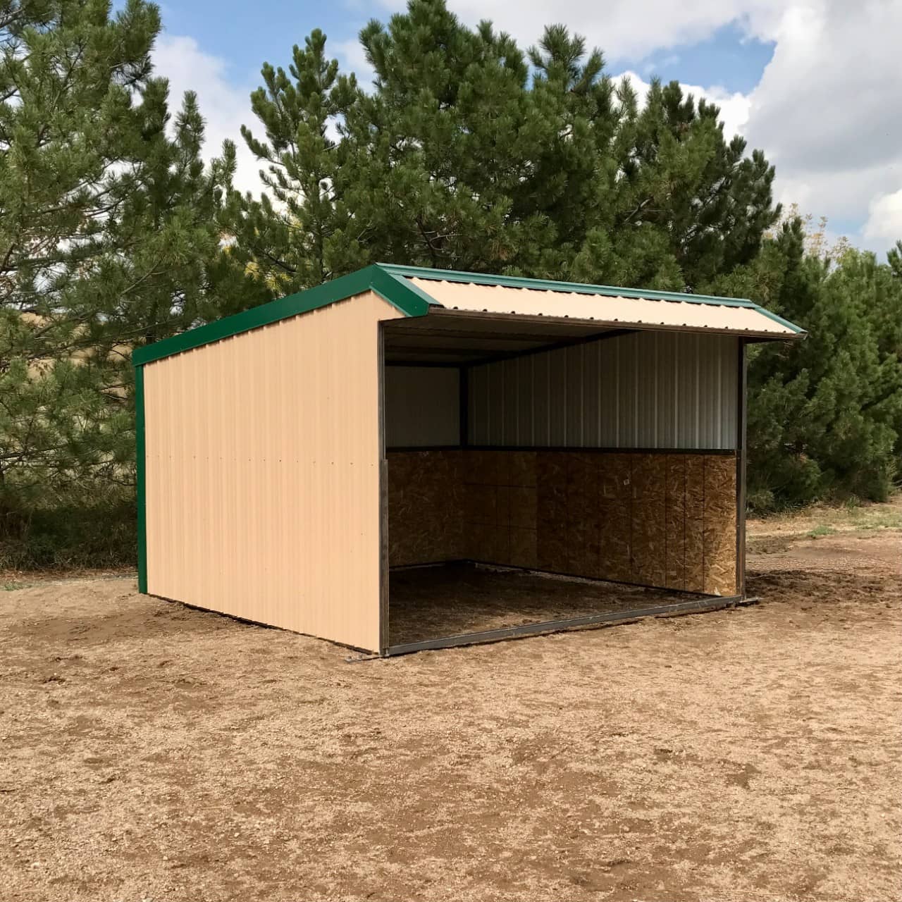 12 x 12 Sheds Shelter Sheds