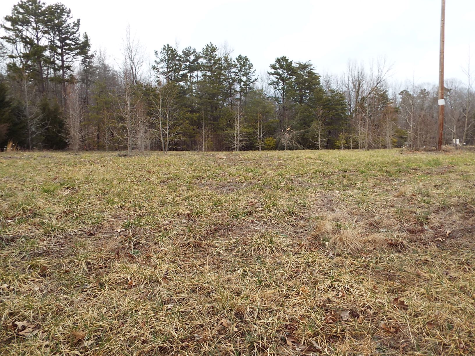 JW Shelton Auction & Realty Serving Southside Virginia Real Estate