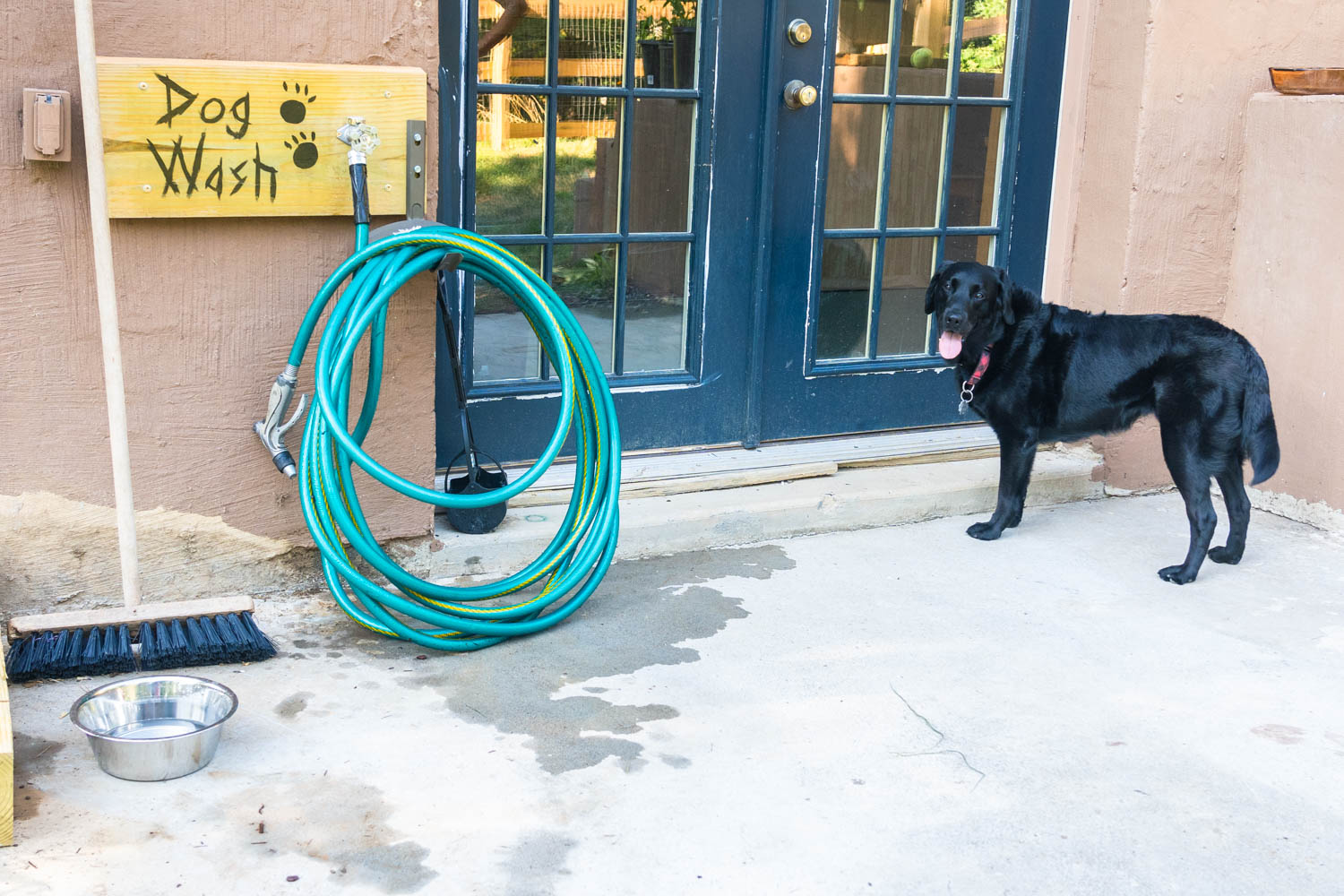 For Dogs Shenandoah Dog Friendly Rentals