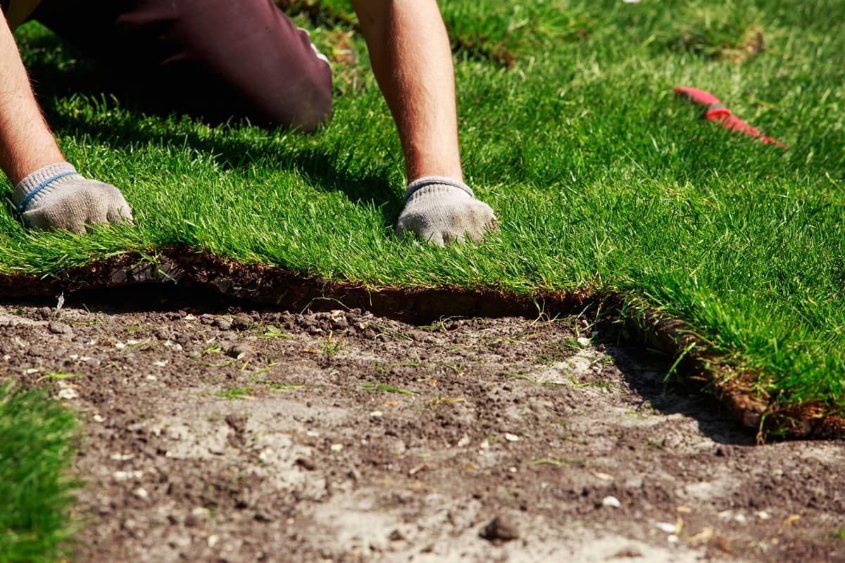 Top Soil Sod Installation Shenandoah Property Services 540.773.3843