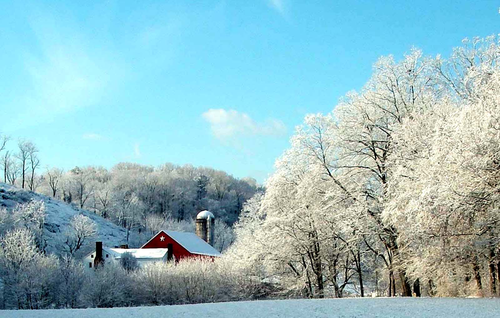Gander Farm by the River Shenandoah River Log Cabins nancy sottosanti