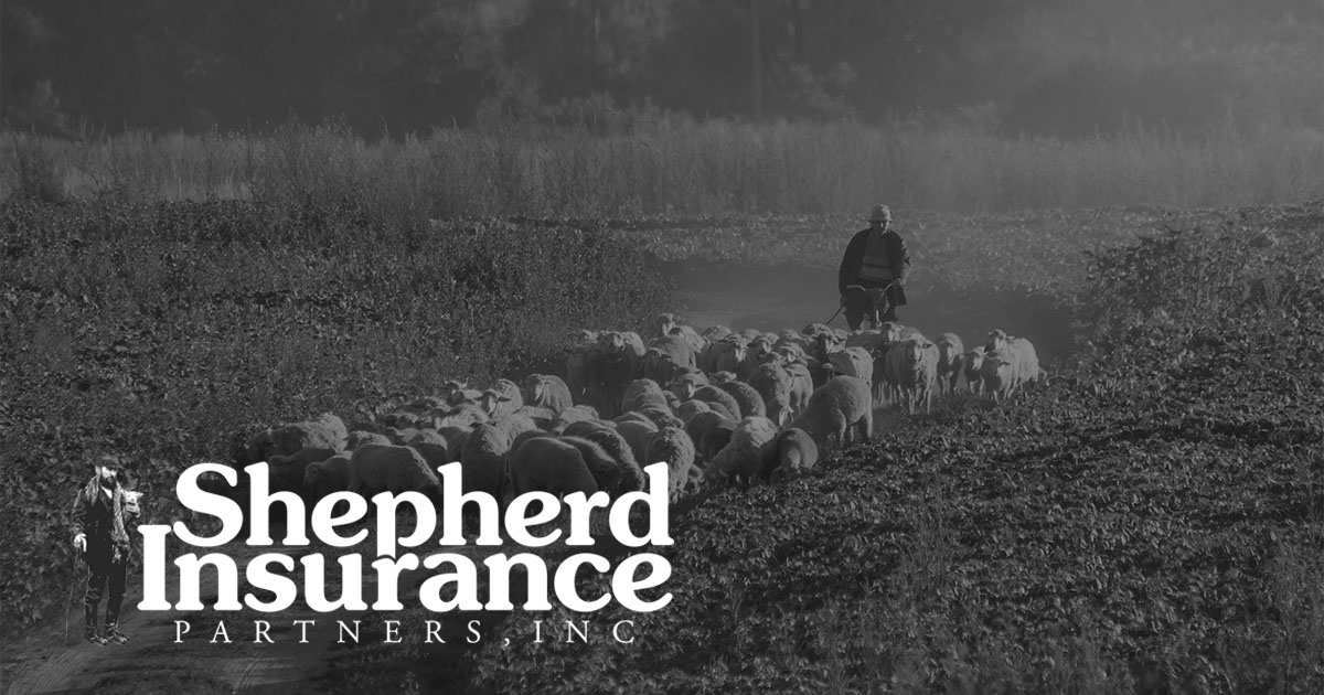 Patty Sheets Shepherd Insurance Partners, Inc.