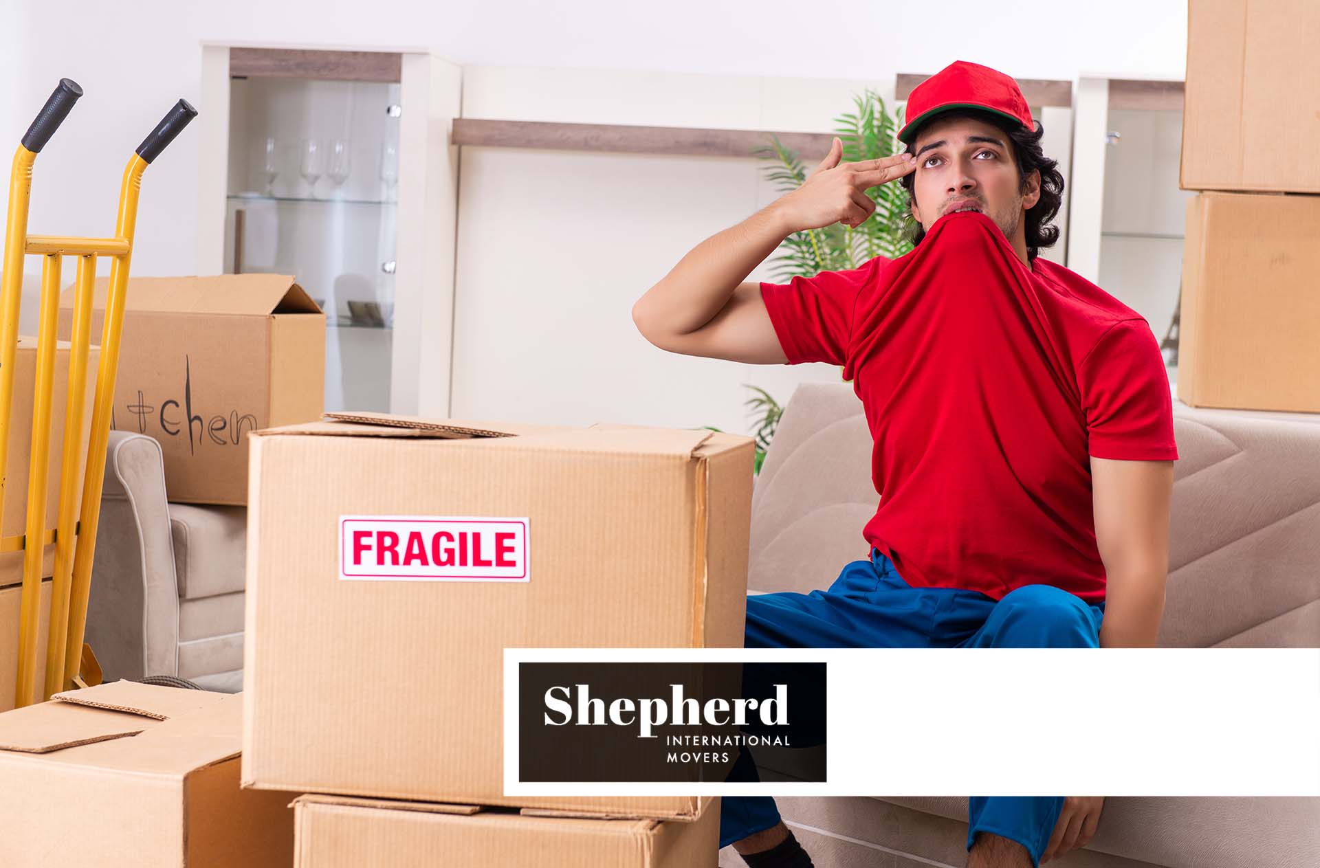 Prevent Things From Breaking Shepherd International Movers