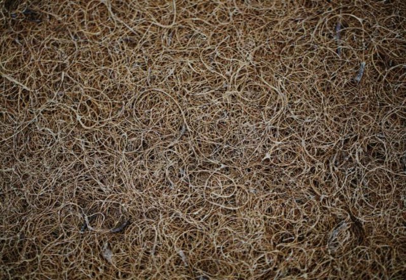 EcoFriendly 1inch Coconut Coir (Fiber) Bed Rug With Natural Latex