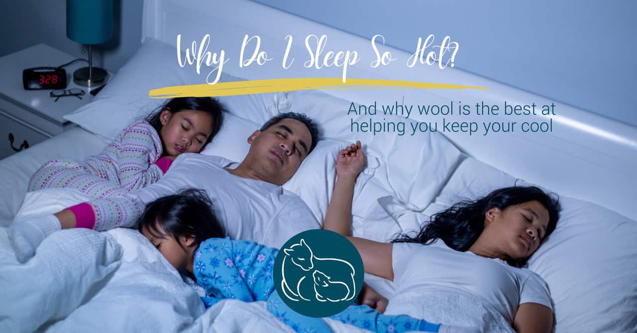 Why Do I Sleep So Hot? Shepherd's Dream