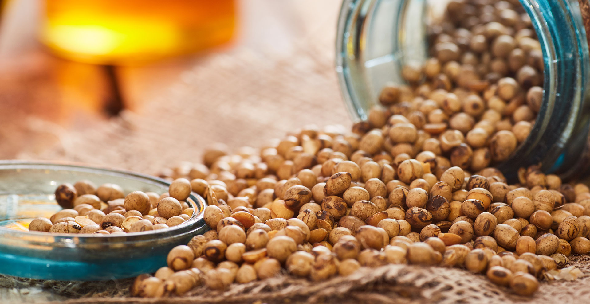 Contact Us Sheppard Grain