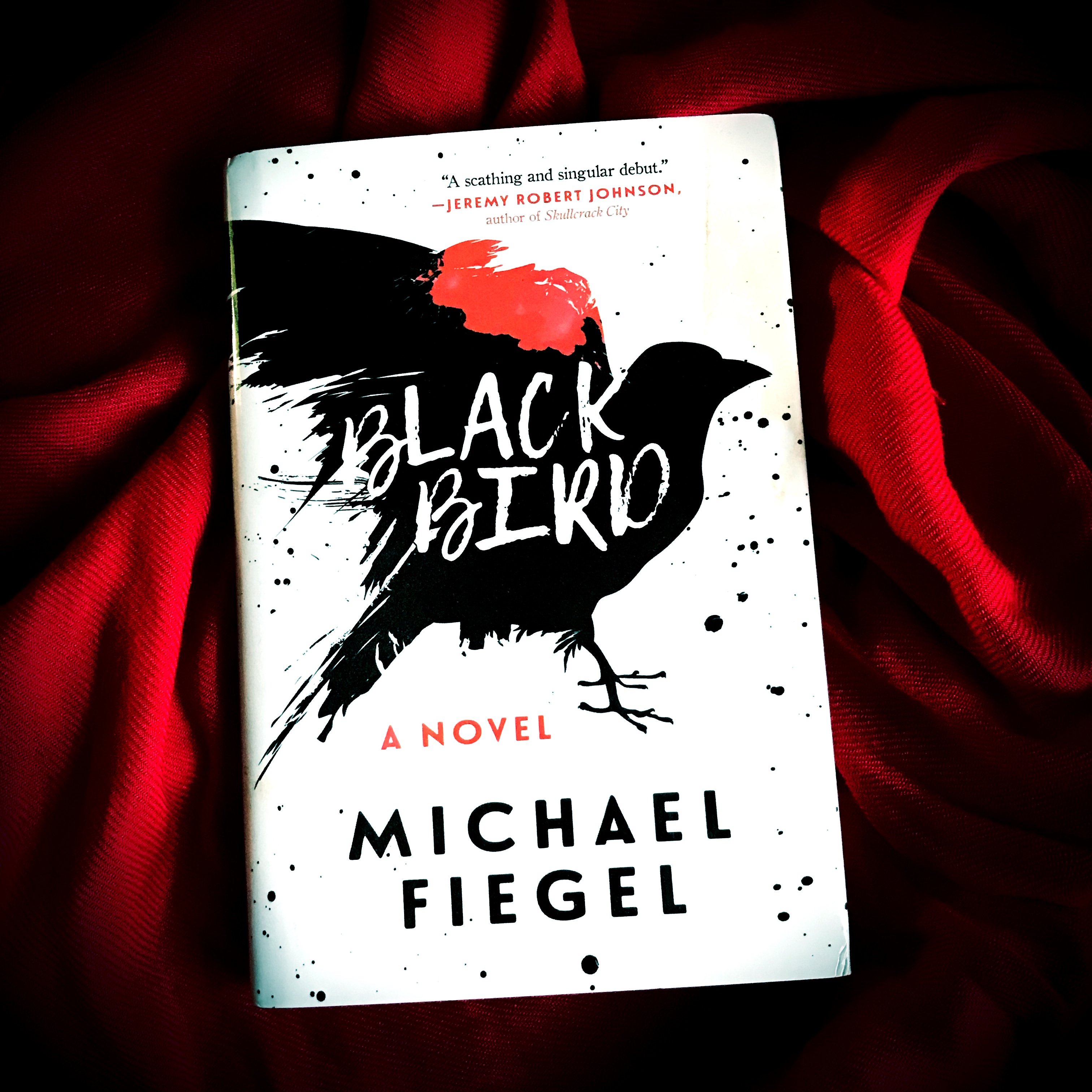 66666 She Reads With Cats