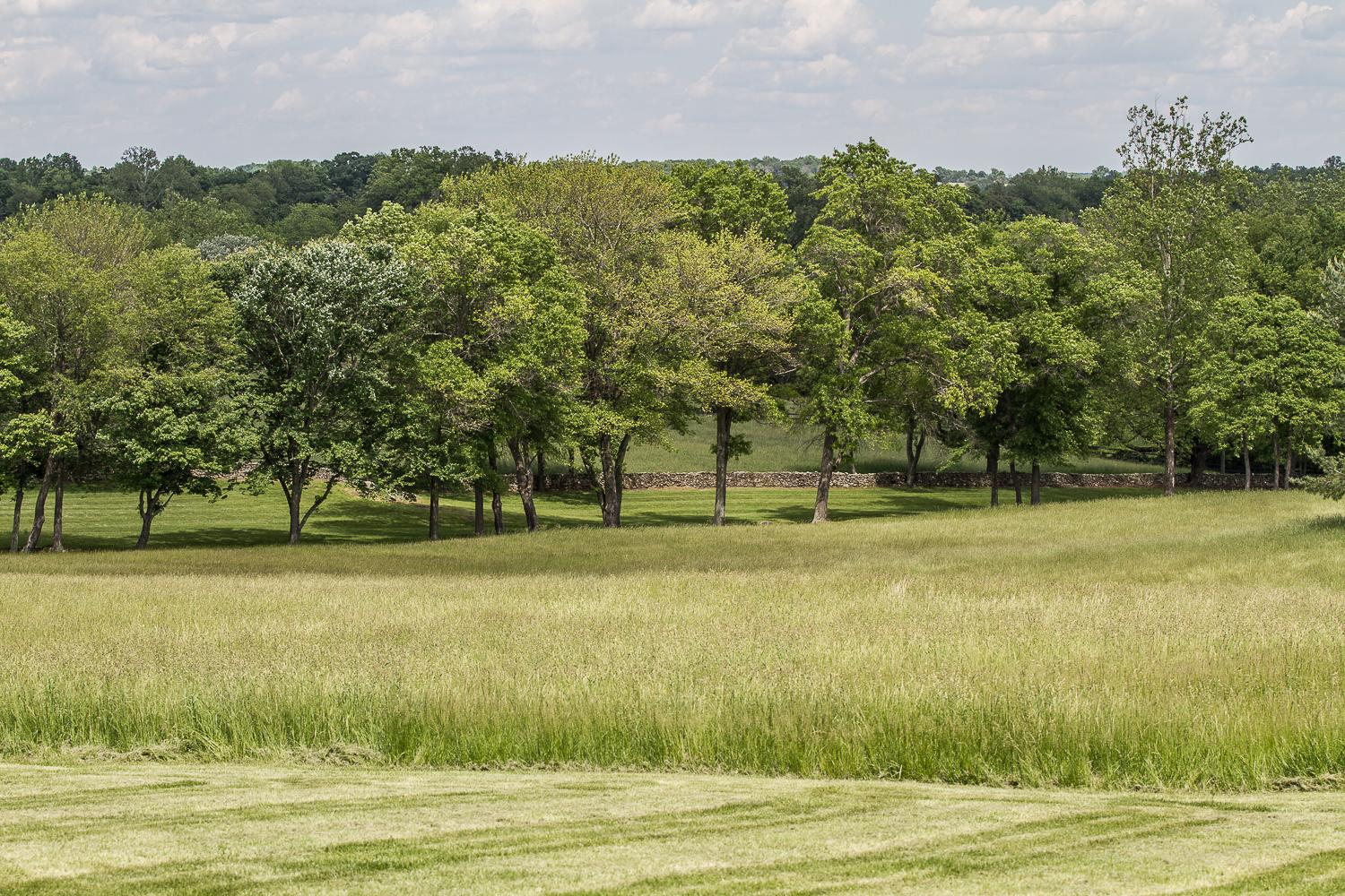 Sheridan MacMahon, Ltd. Patrickswell, Marshall, Virginia Sheridan