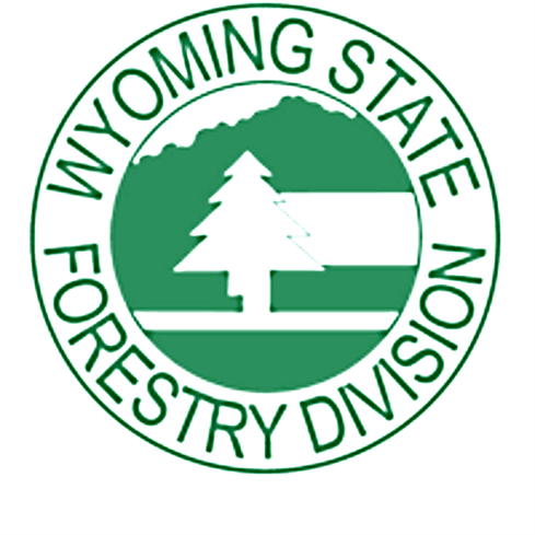 Realignment of Billy Creek Access Road in the Works Sheridan Media