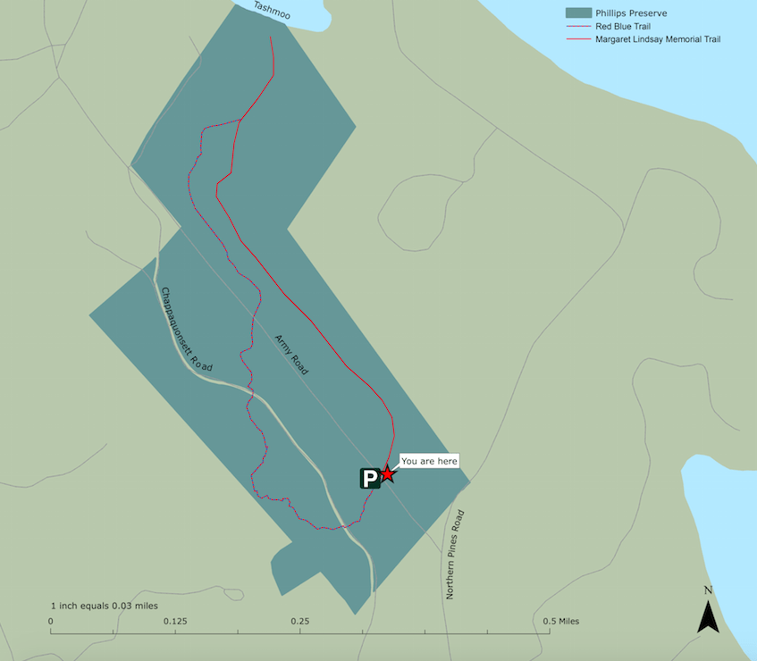 Trails in Tisbury, Massachusetts