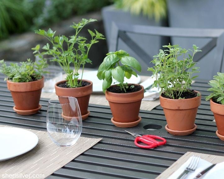 favor"ette" herb centerpiece Sheri Silver living a welltended