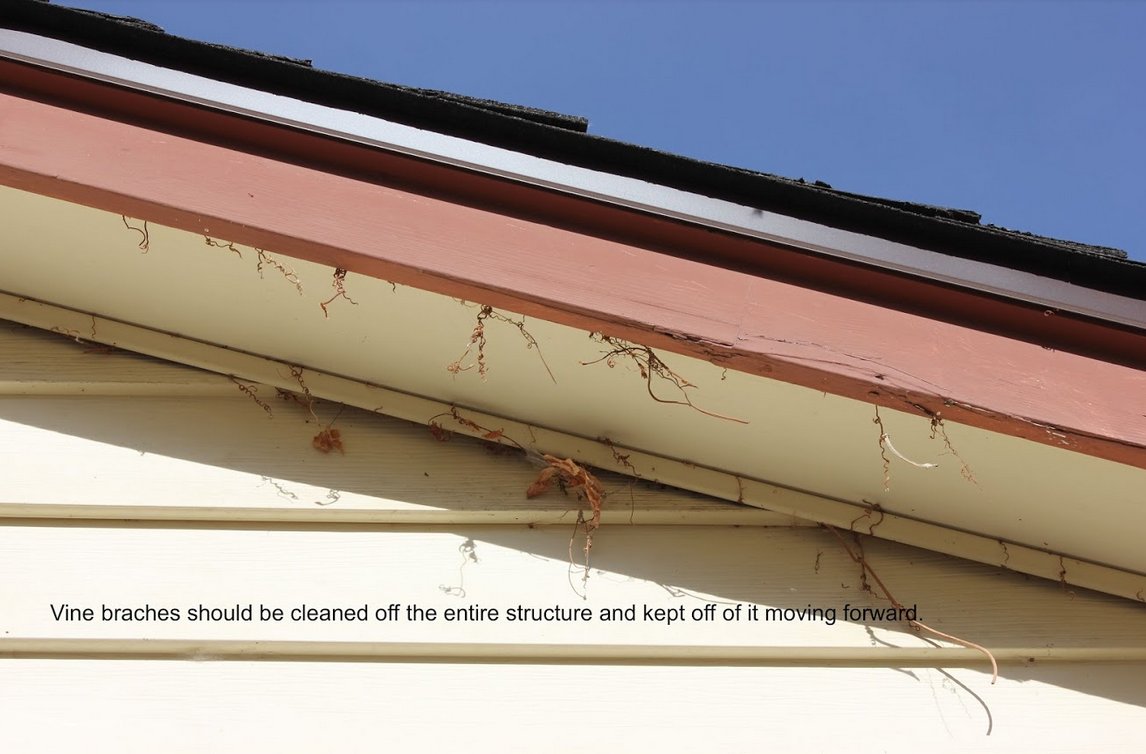 vines Sherlock Homes