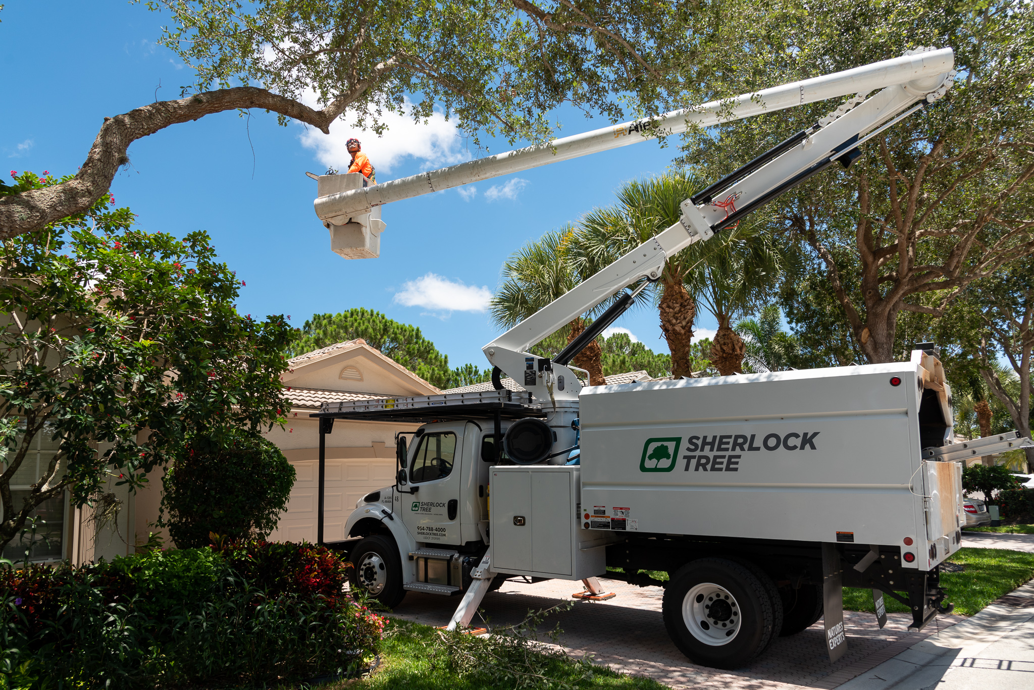 Boca Raton, FL Tree Service Sherlock Tree Company