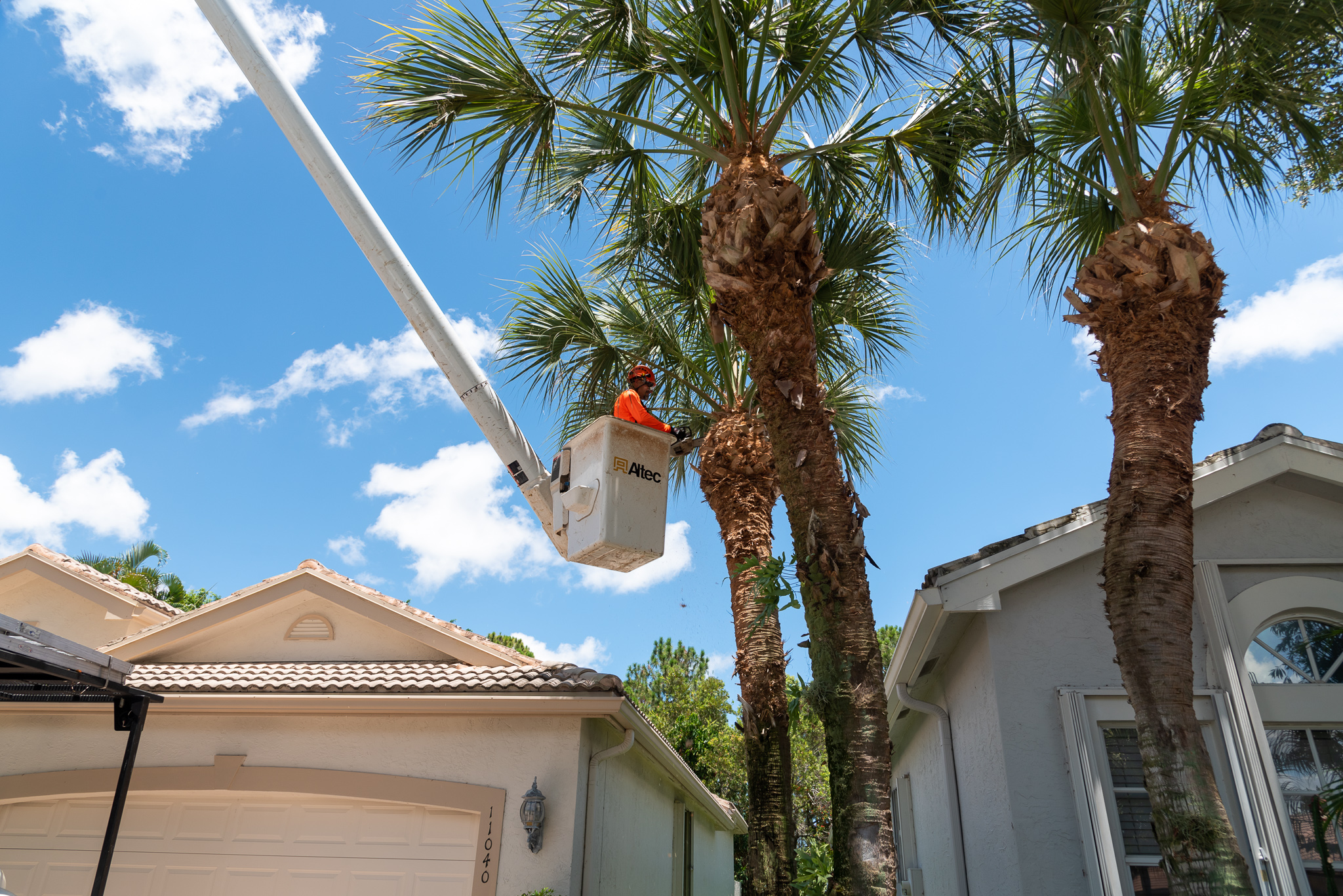 Boca Raton, FL Tree Service Sherlock Tree Company