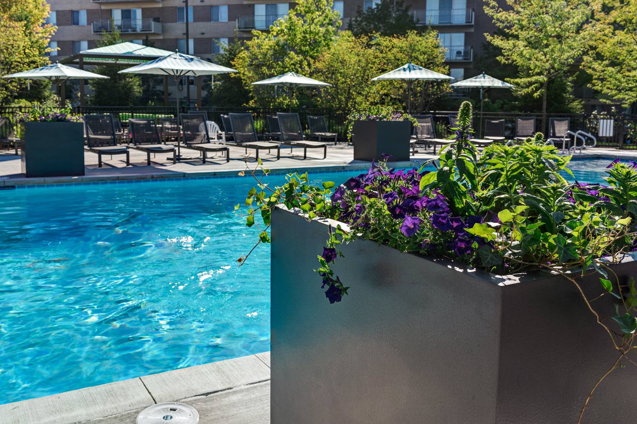 Gallery Sherri Park Apartments