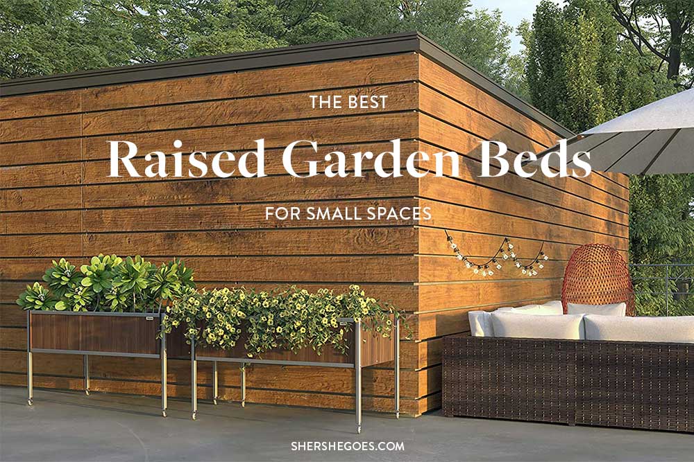The 7 Best Raised Garden on Wheels (2022)