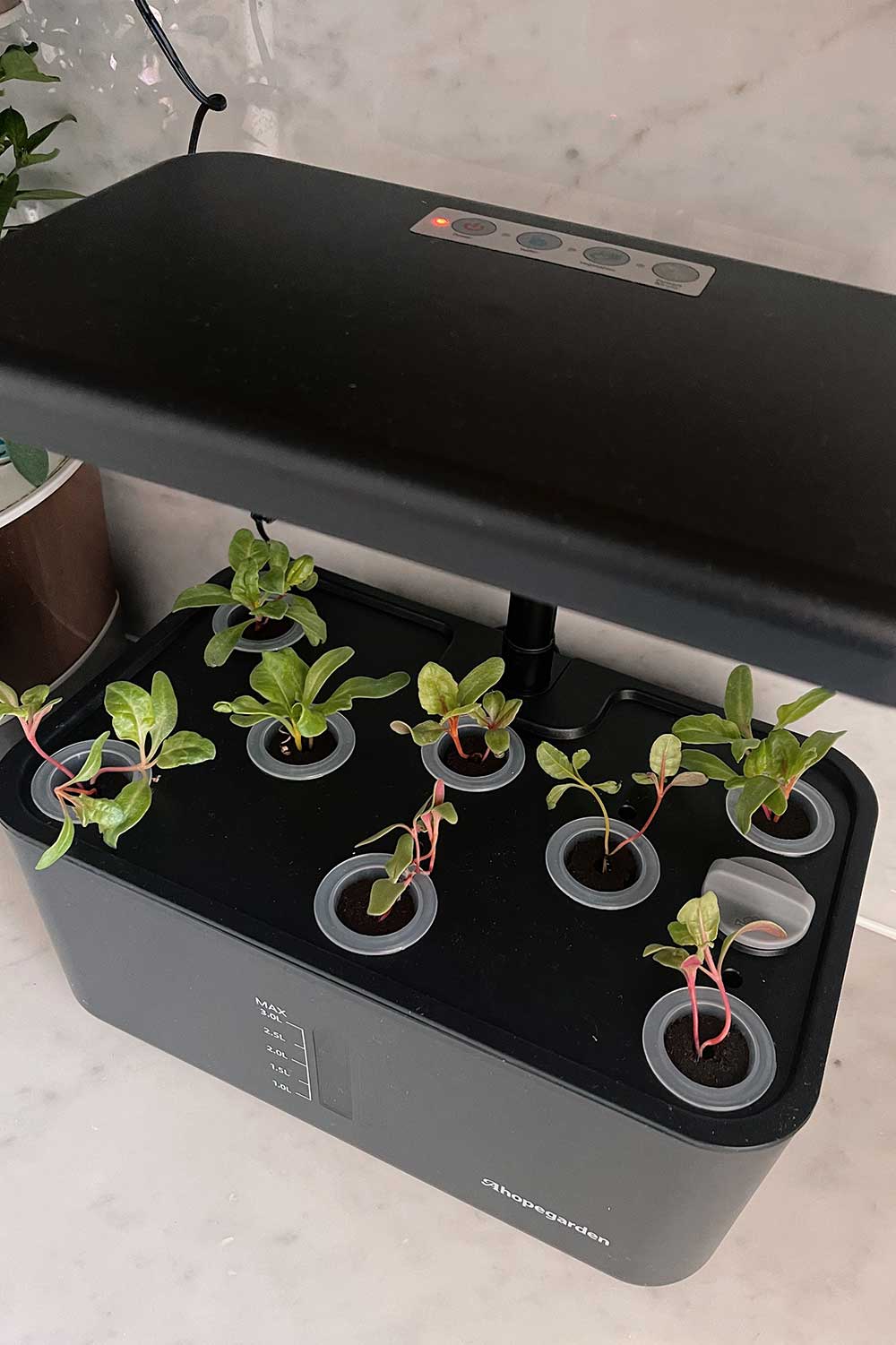 Are Indoor Hydroponic Gardens Worth It Sustainable Eco Friendly Life