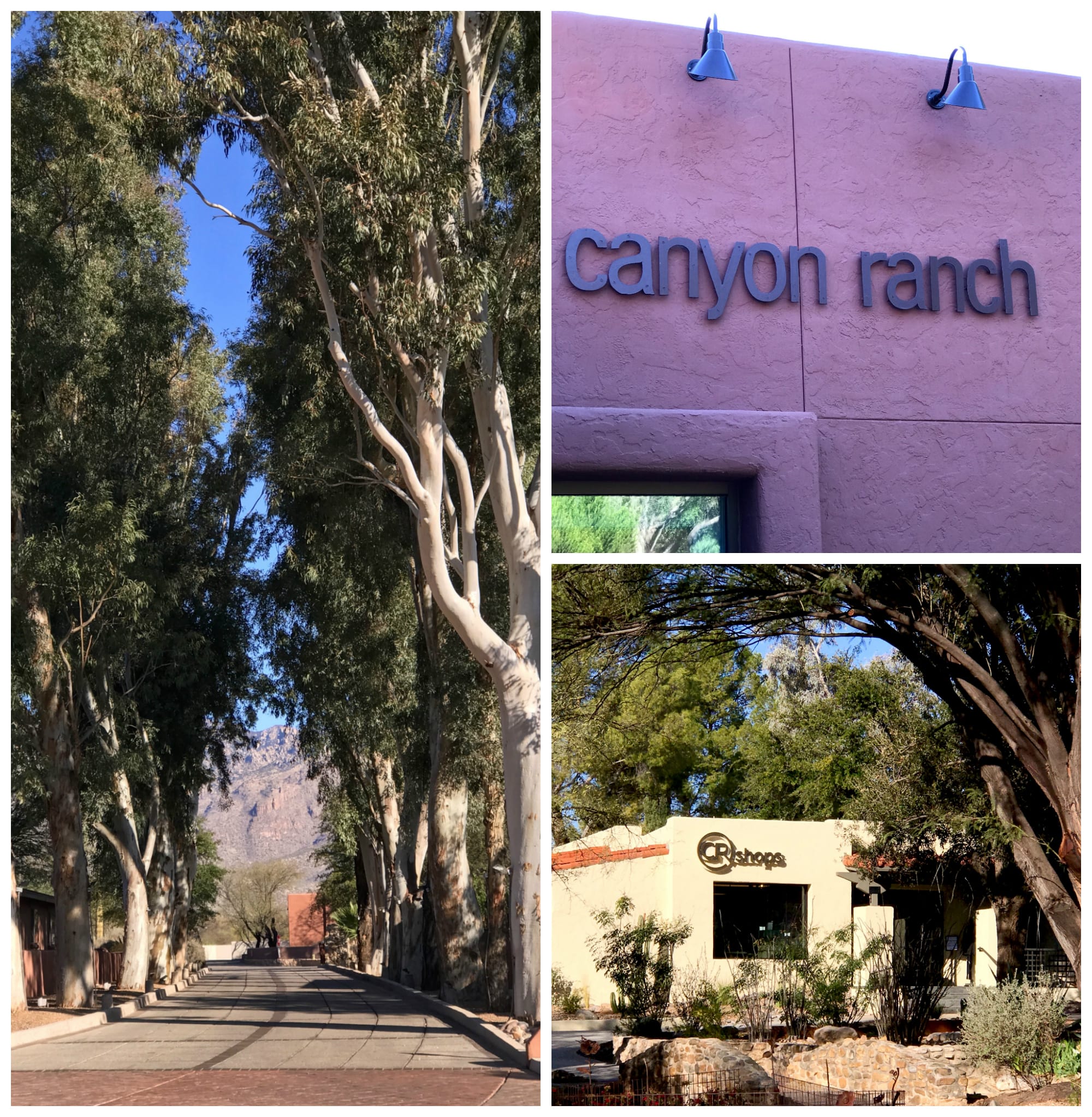 Destination Canyon Ranch Health and Wellness Spa SheShe Show