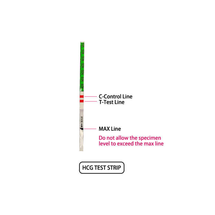 HCG Pregnancy Test Strip Shanghai Even Medical