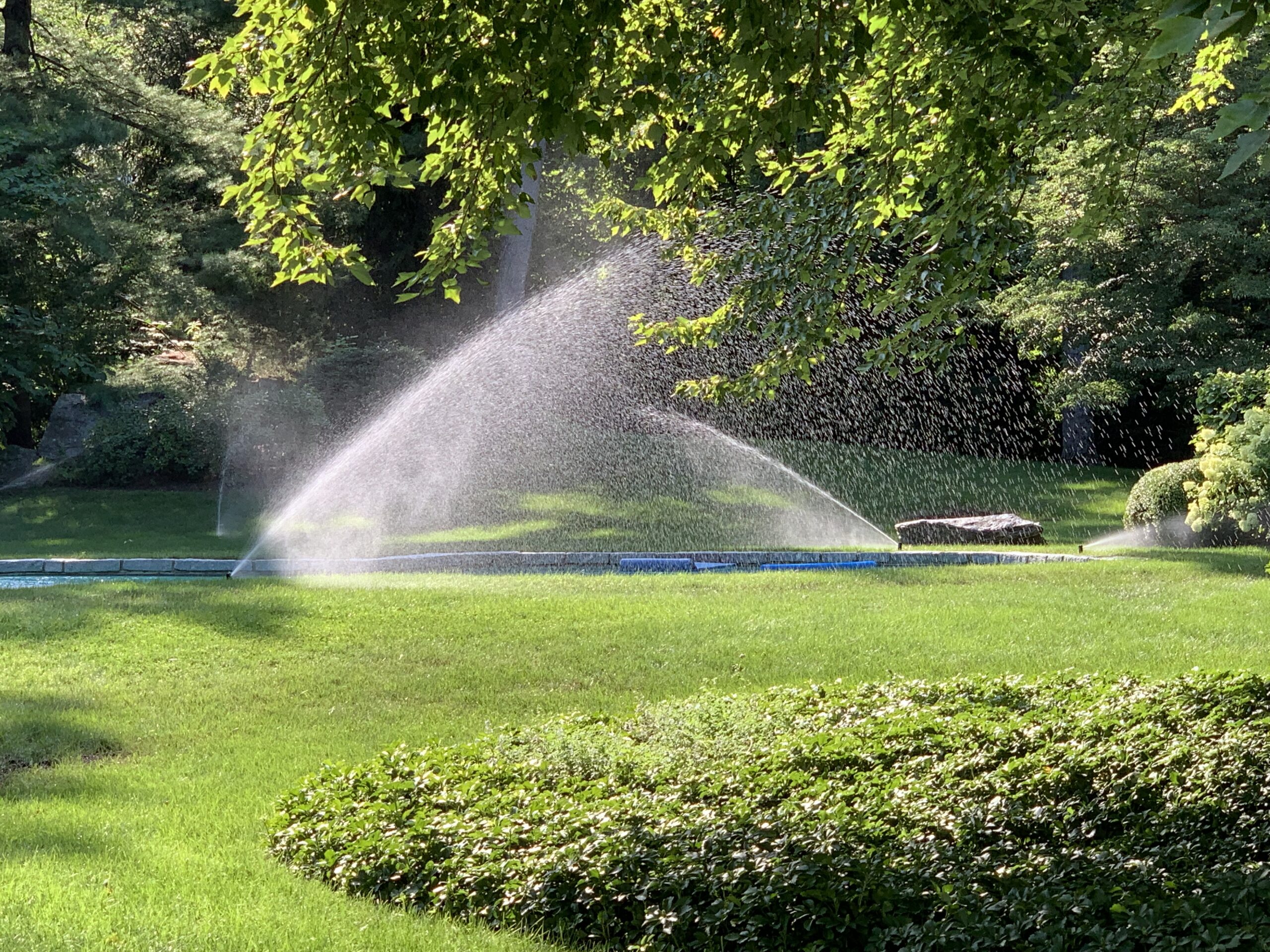 Smart Reliable Sprinkler Insider Details Smart Healthy Green Living