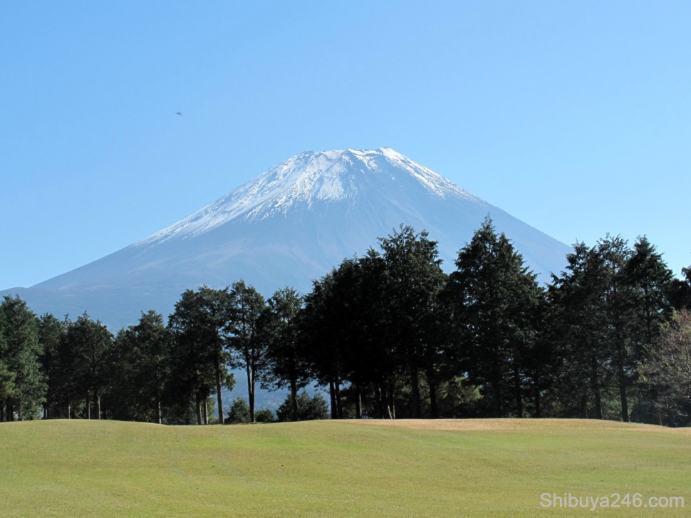 Mt Fuji Golf Shibuya246