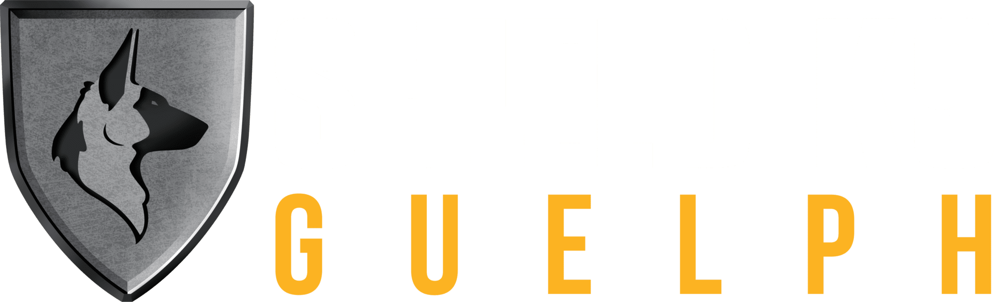 The Best Dog Training in Guelph SHIELD K9 Dog Training