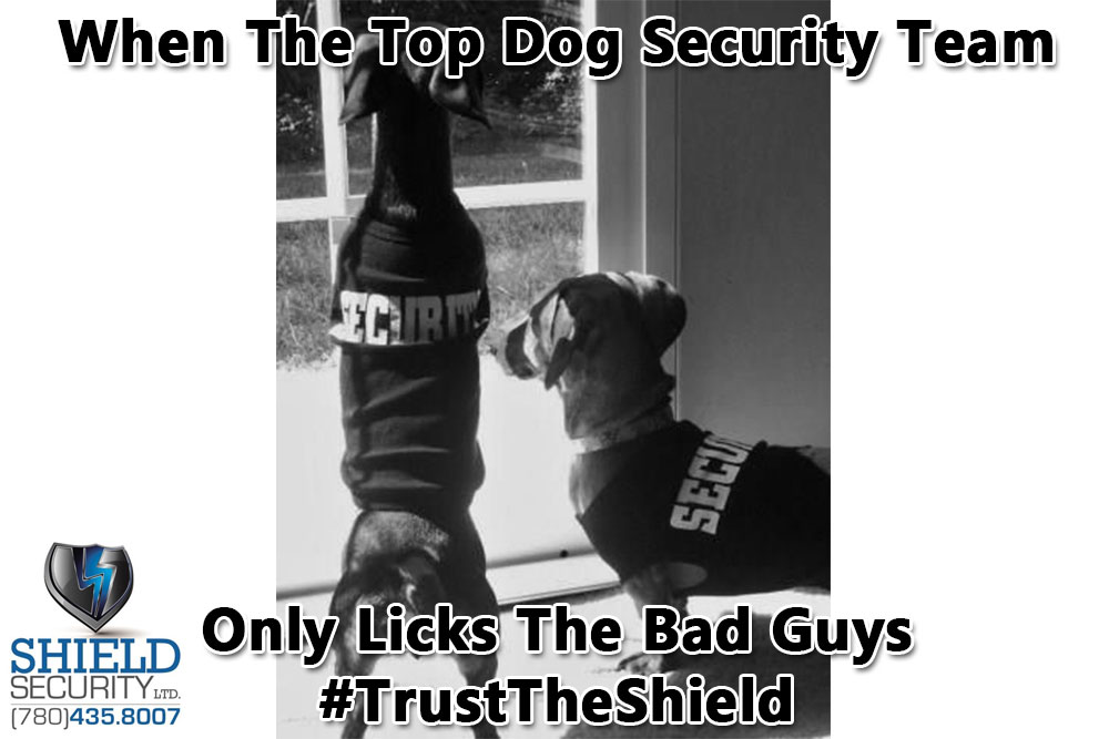 Home Security Shield SecurityShield Security