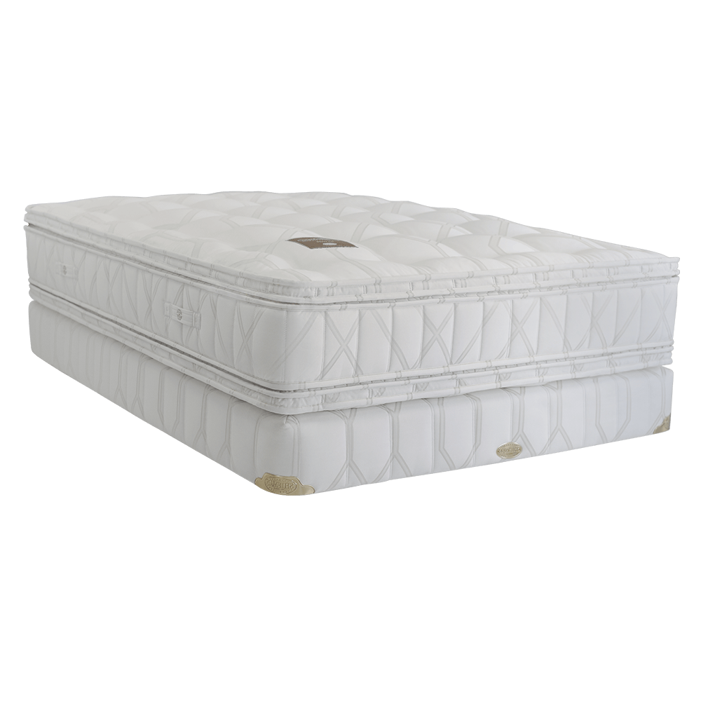 Matisse PT Shifman Mattresses