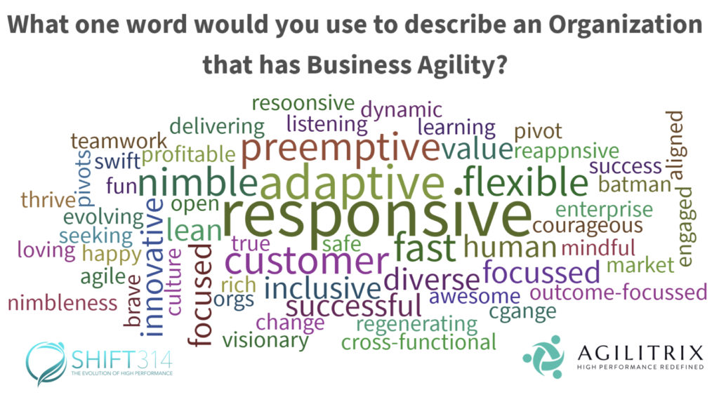 Business Agility What Every Leader Needs to Know SHIFT314