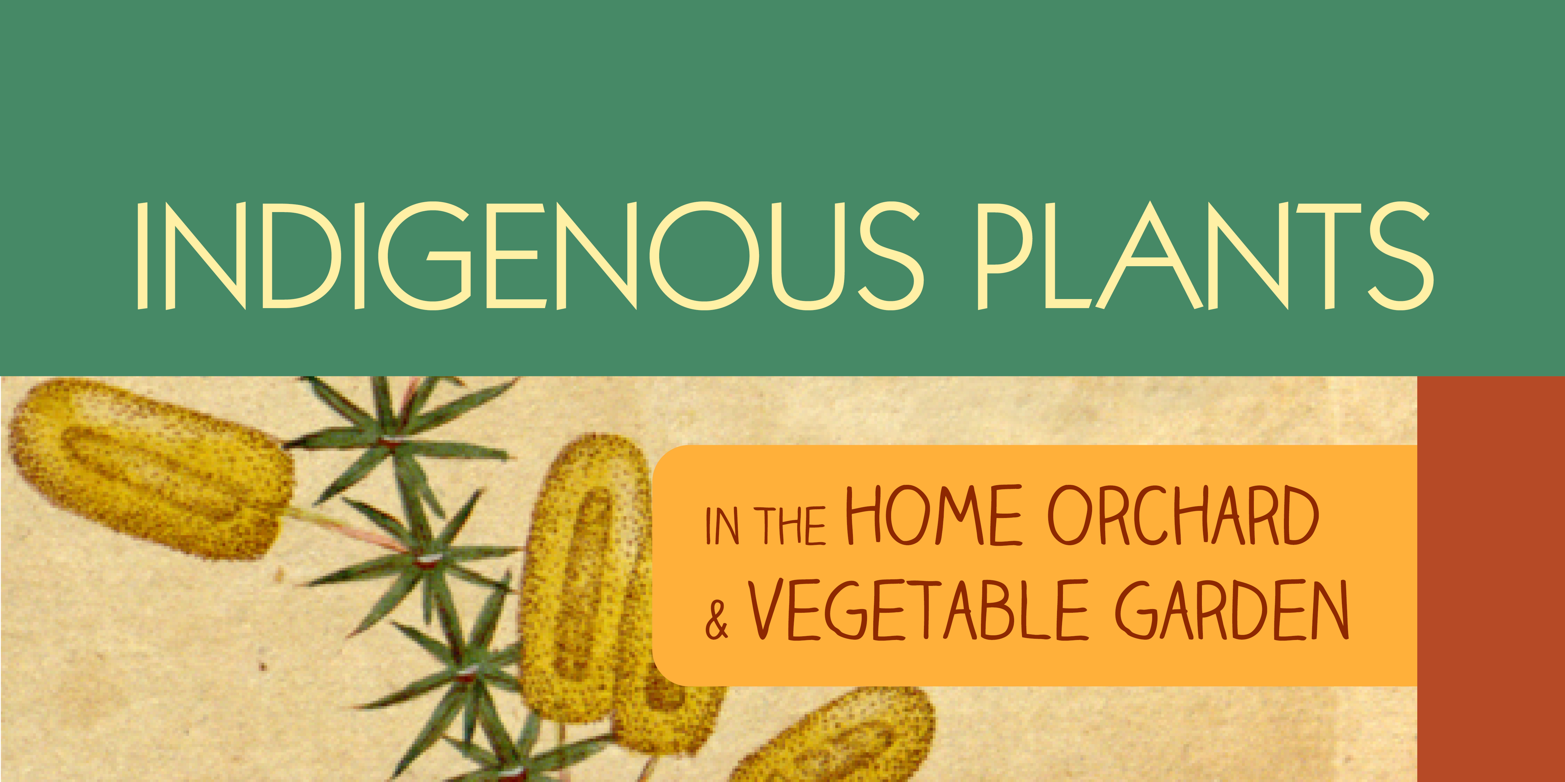 What Do Plants Need To Make Food Plant Ideas