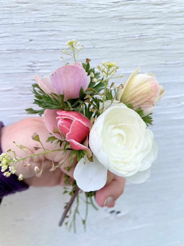 10 Best Early Season Cut Flowers for Zone 3 Shifting Roots